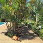 Wild Orchid Krabi by Villa Cha Cha
