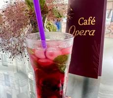 Opera Boutique Hotel