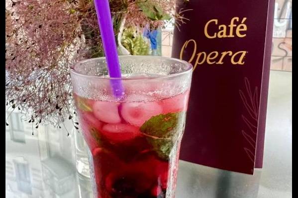 Opera Boutique Hotel