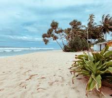 Alonish Resort & Restaurant