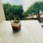 Sevenra Grand Beach Hotel