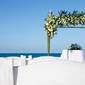 Beloved Playa Mujeres