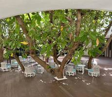 Tambuli Seaside Resort and Spa