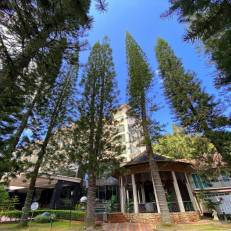 Century Pines Resort Cameron Highlands