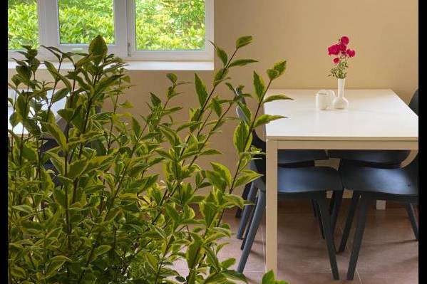 Buxus Hotel Shekvetili