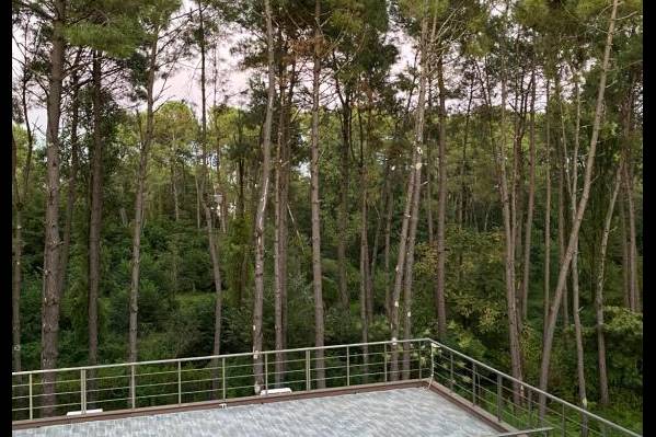 Buxus Hotel Shekvetili