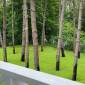 Buxus Hotel Shekvetili