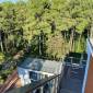 Buxus Hotel Shekvetili