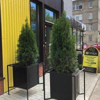 Lemon Loft Отель