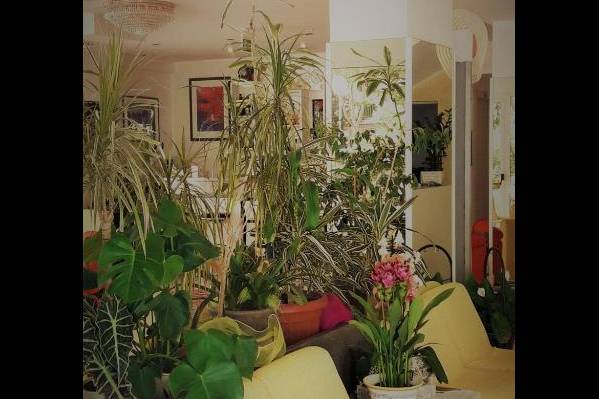Hotel Imperiale