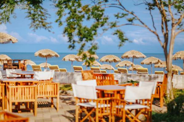 Dreamland Oasis Hotel