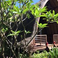 Melati Cottage