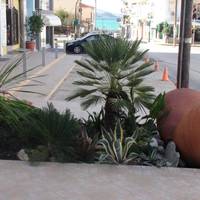 Aria Hotel Samos Town