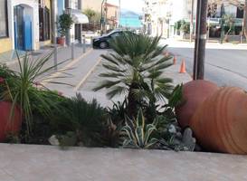 Aria Hotel Samos Town