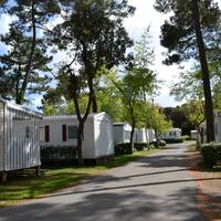 Le Sherwood - Camping
