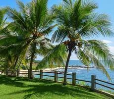 Eva Lanka Hotel - Beach & Wellness