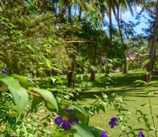 Eva Lanka Hotel - Beach & Wellness