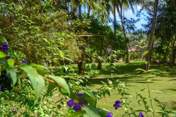 Eva Lanka Hotel - Beach & Wellness