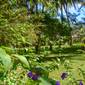 Eva Lanka Hotel - Beach & Wellness