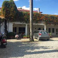 Mango Tree Courtyard