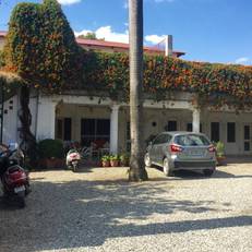 Mango Tree Courtyard