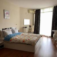 Deluxe One-Bedroom Apartment