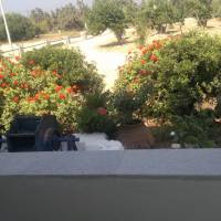 Apartment with Garden View