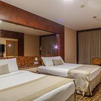 Premium Plus Double Room