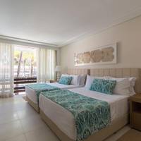 Deluxe Triple Room (3 Adults) 
