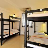 Bed in 4-Bed Mixed Dormitory Room