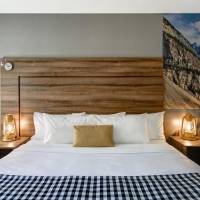 King Room - Pet Friendly