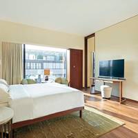 Park King Suite