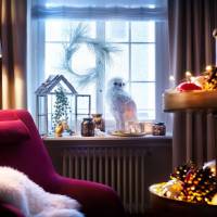 Double Room with Christmas Package