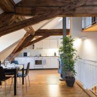One Bedroom Apartment A