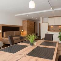 Large Superior One-Bedroom Apartment