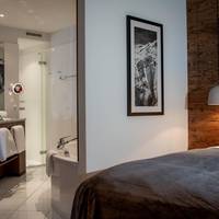 Superior Double or Twin Room with Mountain View