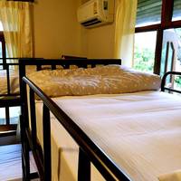 Bunk Bed in Mixed Dormitory Room