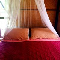 Standard Double Room with Fan