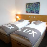 Business Twin Room