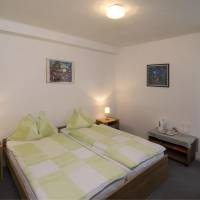 Double or Twin Room with Mountain View