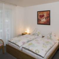 Double or Twin Room with Mountain View