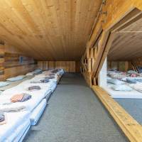 Single Bed in Mixed Dormitory Room