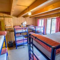 Bed in 10-Bed Dorm