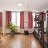 Bed in 6-Bed Dorm