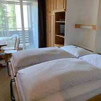 Standard Double Room with Balcony, indoor pool & sauna access