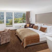 Deluxe Double Room with Balcony and Mountain View