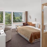 Deluxe Double Room with Sauna