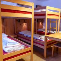 Bed in 6-Bed Dormitory Room