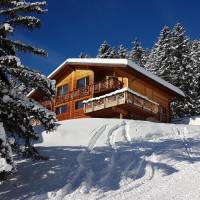 Chalet Vieux Bisse 