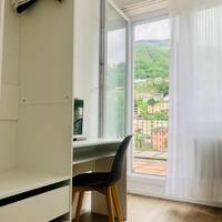 Single Room with Terrace